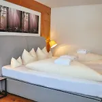 호텔 Seelos 4*