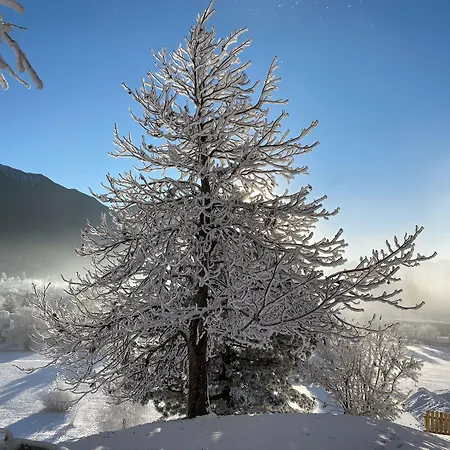 Hotel Seelos Seefeld in Tirol